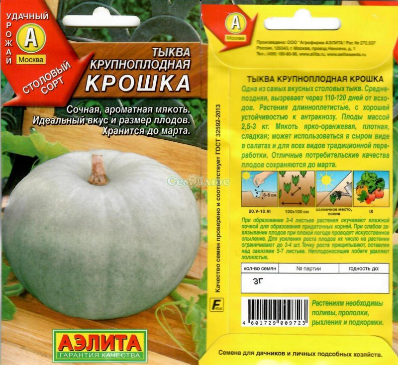 Тыква растет на дереве