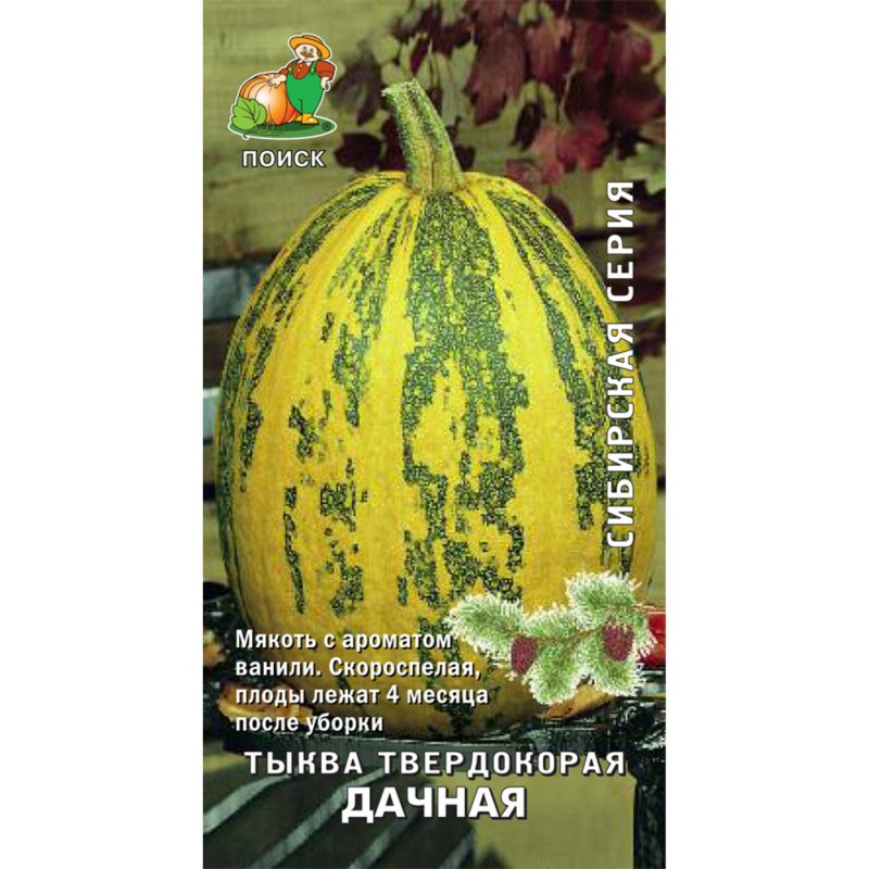 Тыква твердокорая Грибовская кустовая 189