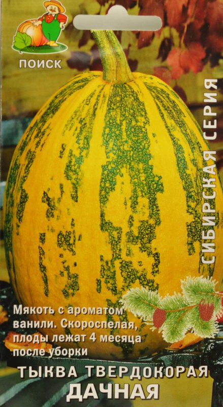 Тыква твердокорая Дачная Сибирская серия