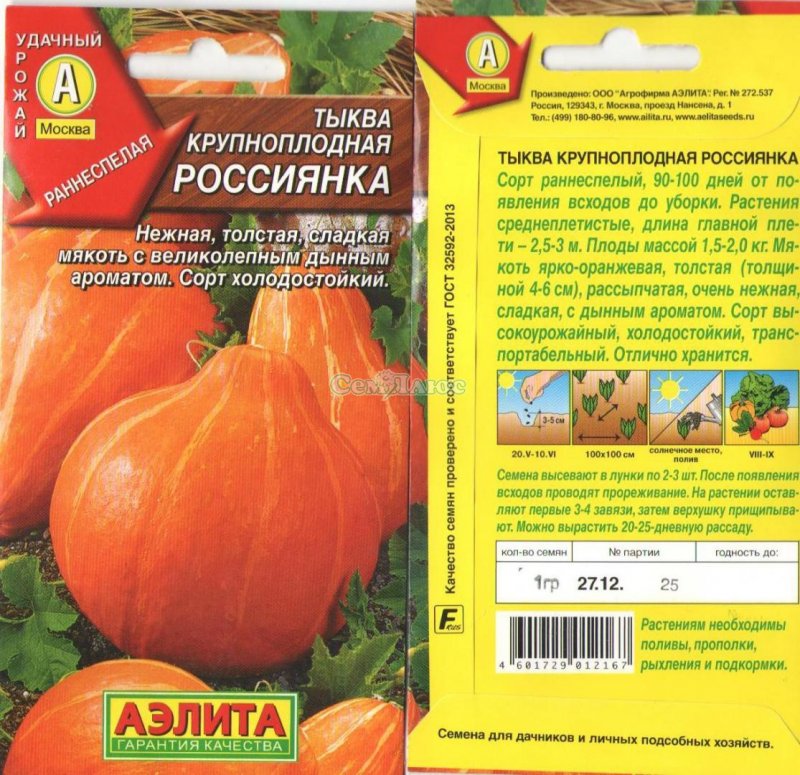 Пасынкование тыквы россиянка