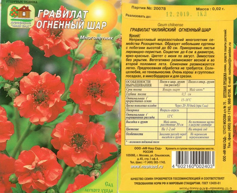 Гравилат многолетний Огненный шар