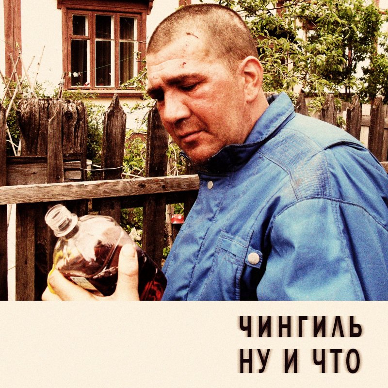 Эфедра хвойник