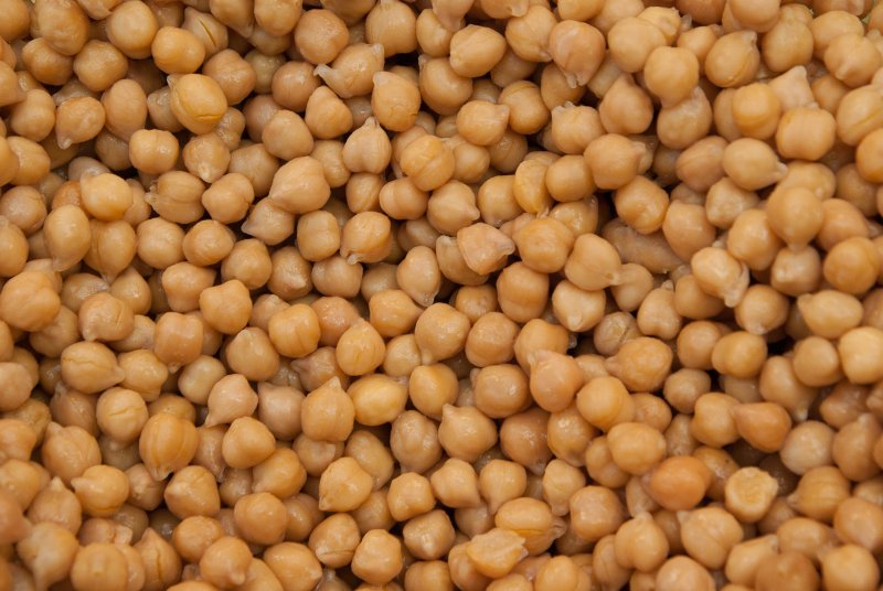 Chickpea - нут, турецкий горох