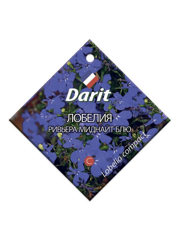 Лобелия Хрустальный дворец