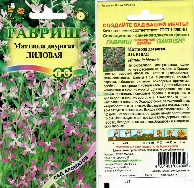 Маттиола двурогая