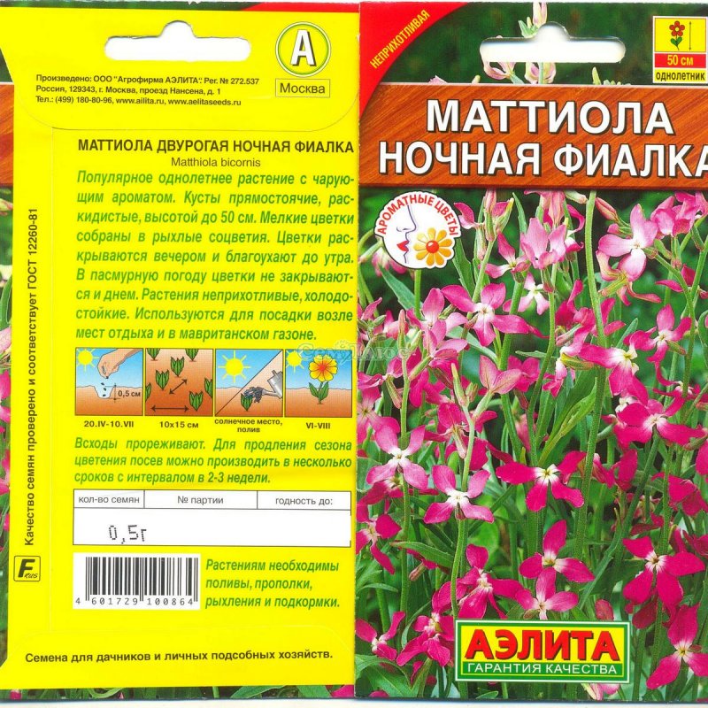 Маттиола двурогая
