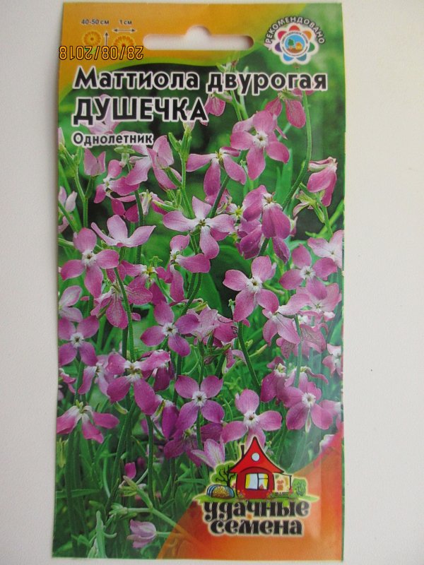 Маттиола Лилак Аэлита ц