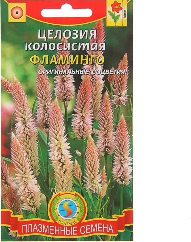 Целозия "Центури гель"