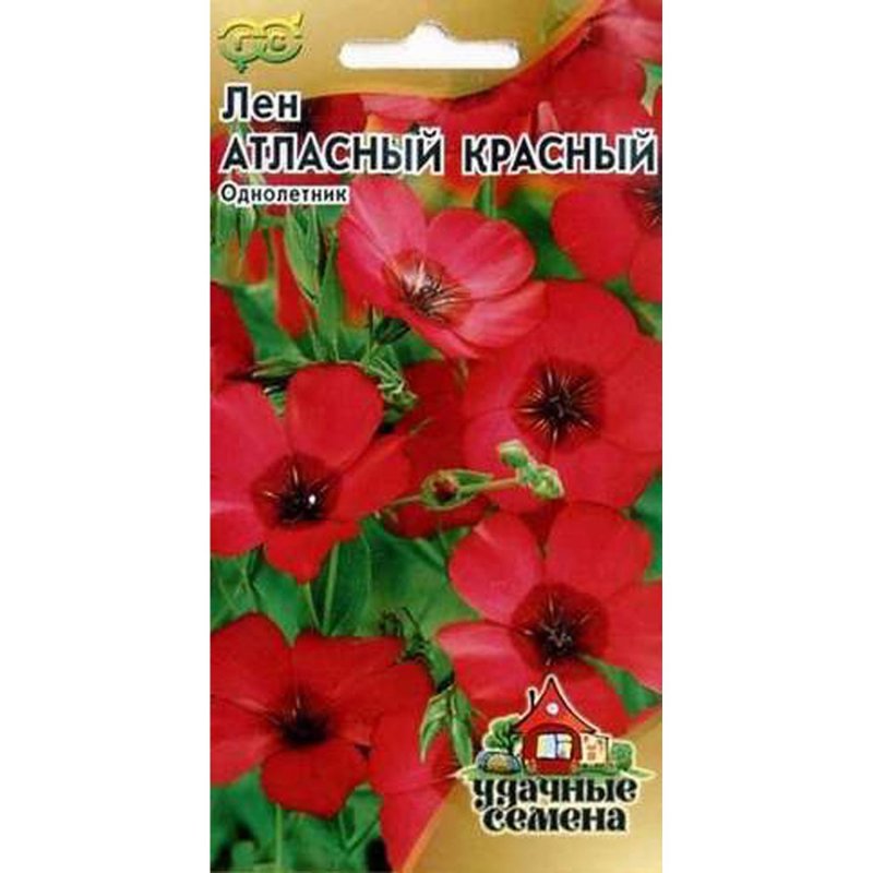 Лен красный крупноцветковый на клумбе