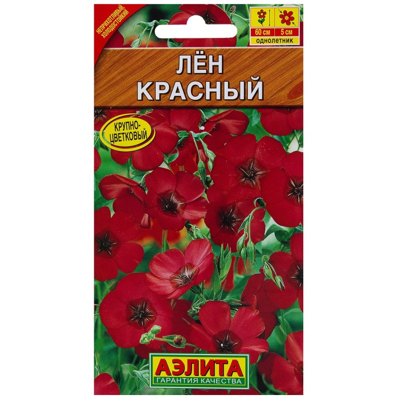 Лен многолетний Linum perenne
