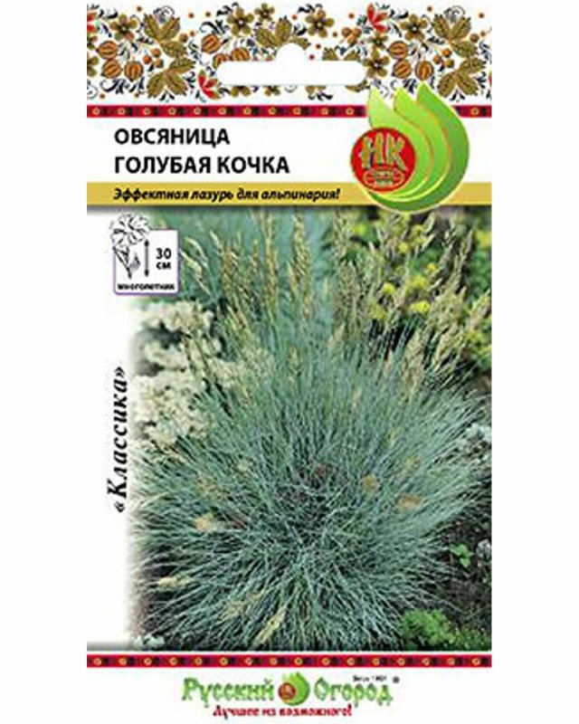 Овсяница сизая лазурит