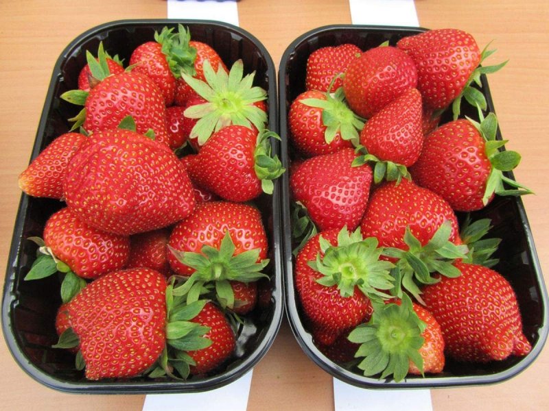 Fraises (земляника)