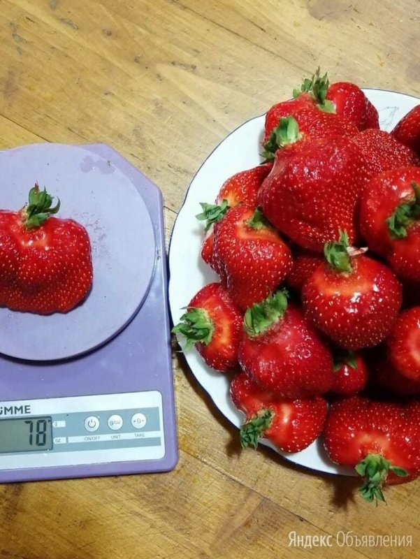 Химия для клубники