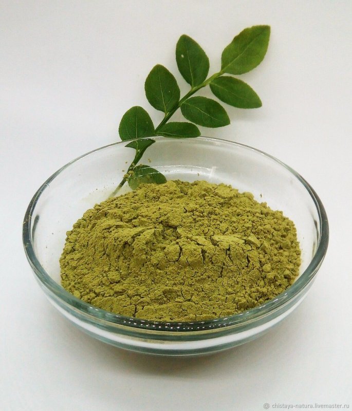 Растение Lawsonia inermis