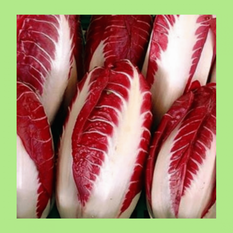 Radicchio Italian Mix — радиккьо, радиччио