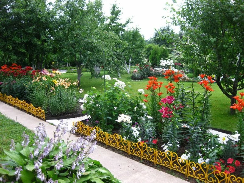 Лилейник в ландшафте