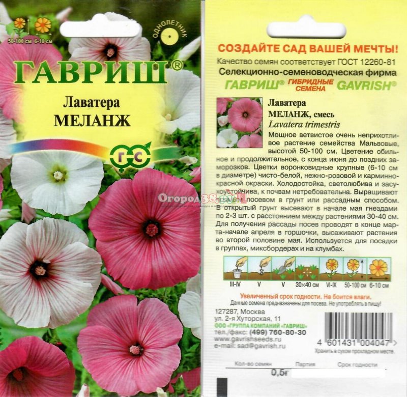 Лаватера Рубин