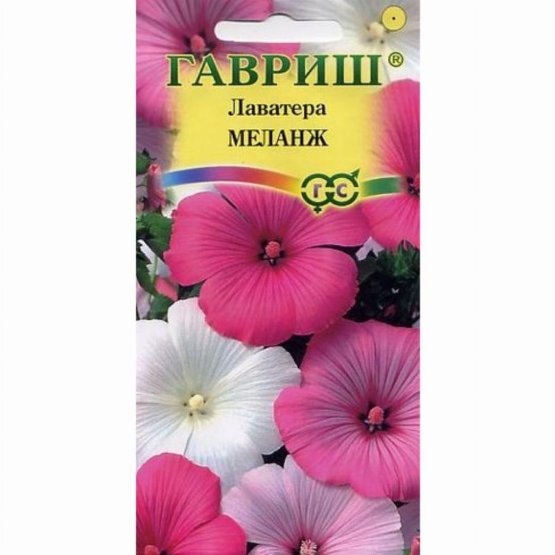 Лаватера Рубиновая