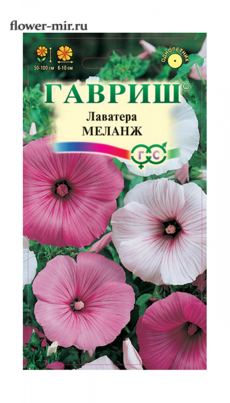 Лаватера (Lavatera)