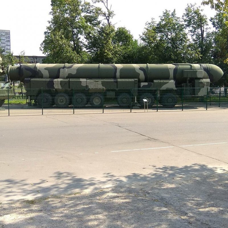 Тополь Свердловский пирамидальный серебристый