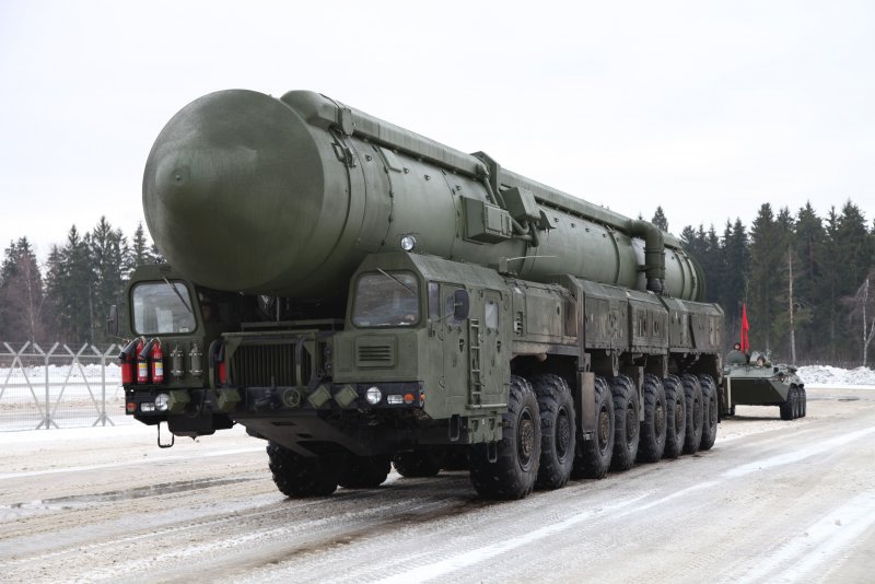 Тополь Сибирский дерево