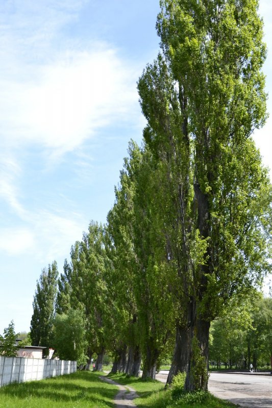 Пусковая 3с 95