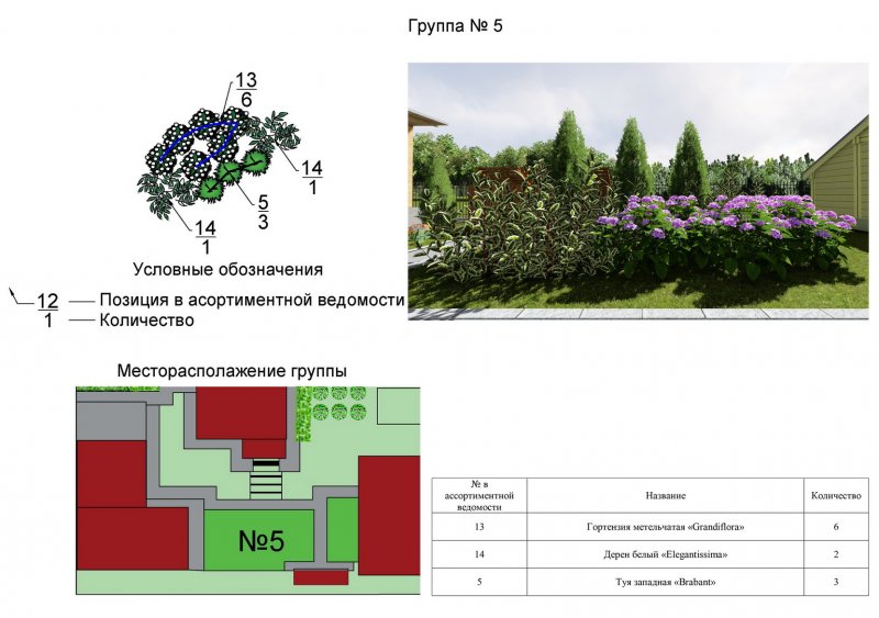 Схема клумбы с гортензией метельчатой