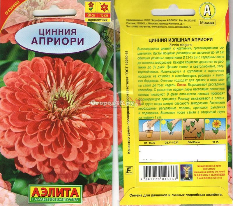 Аэлита Цинния априори