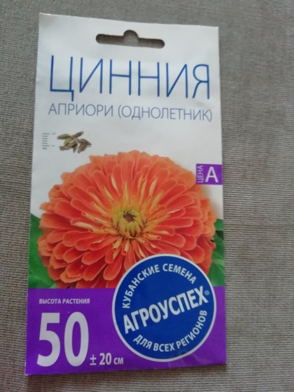 Цинния Бенарис Джайнт