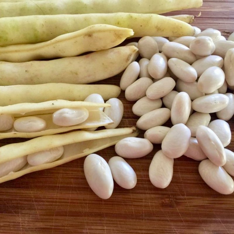 Коровий горох стручки