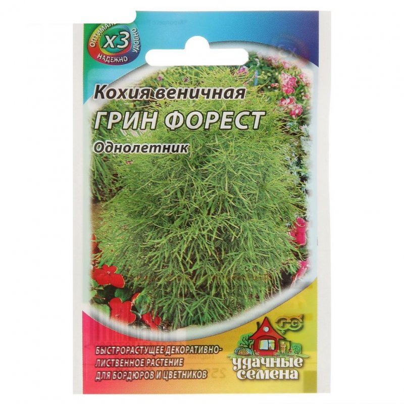 Кохия Грин Форест