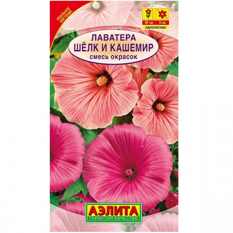 Лаватера Аэлита