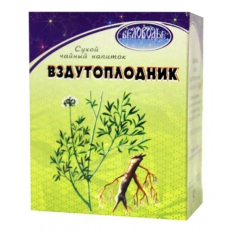Вздутоплодник Сибирский сырье