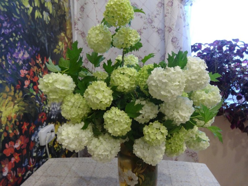 Калина бульденеж букет