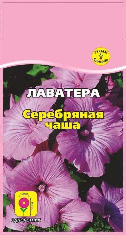 Лаватера красотка красная