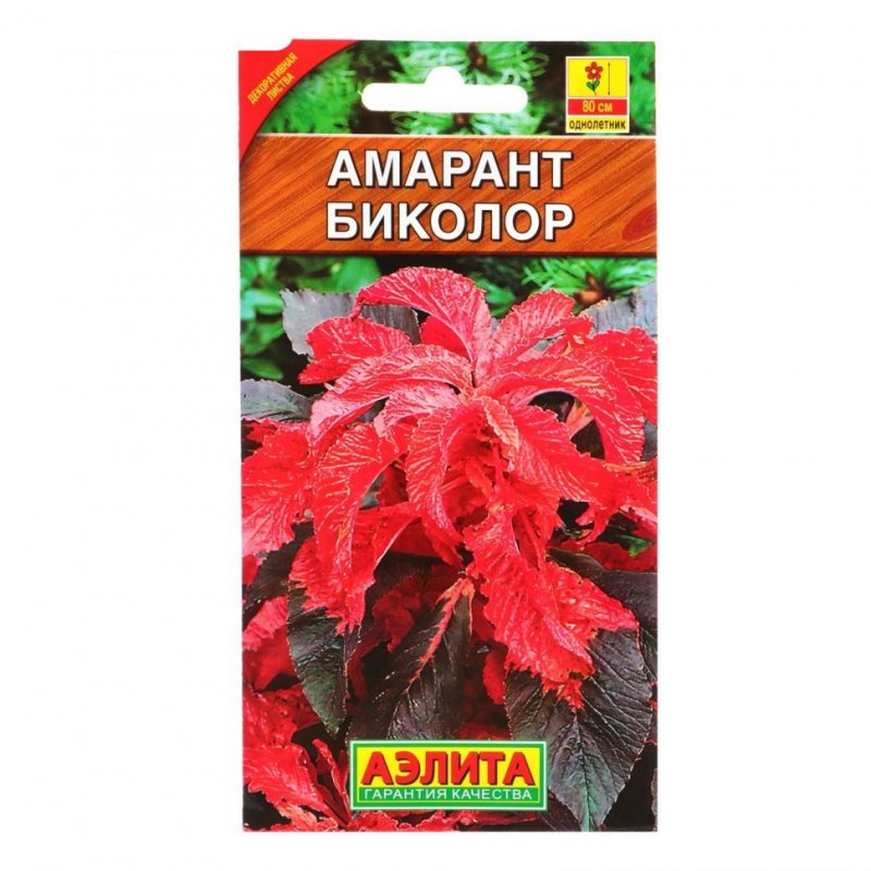 Аэлита Амарант биколор