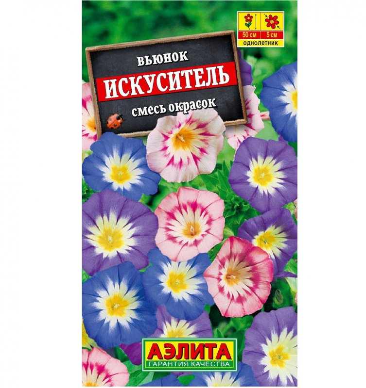 Вьюнок трехцветный искуситель Аэлита