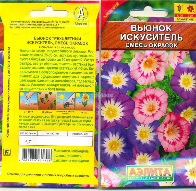 Вьюнок трехцветный Канкан
