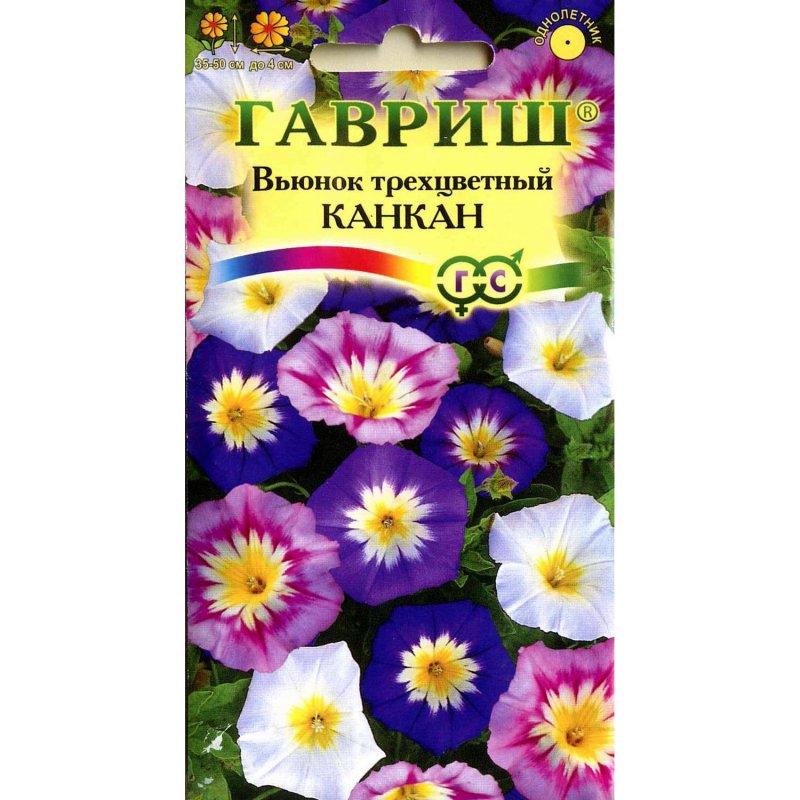 Вьюнок Конвольвулюс Блу