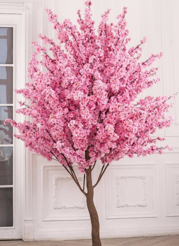 Миндаль трехлопастной Prunus triloba