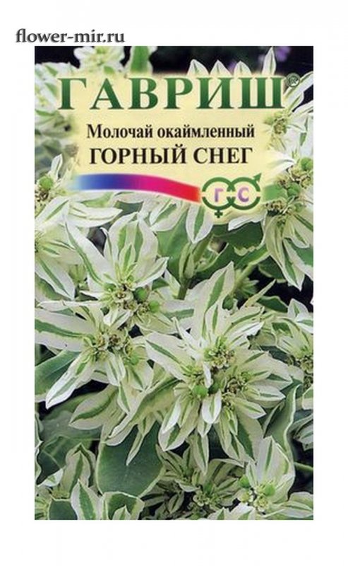 Садовые цветы PNG