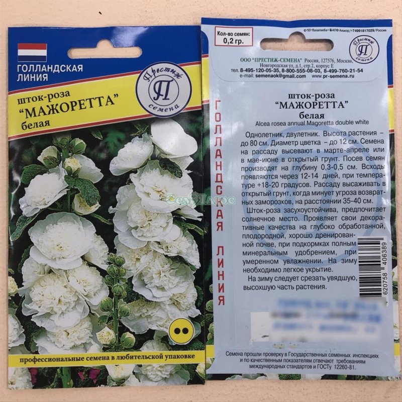 Шток роза Мажоретта