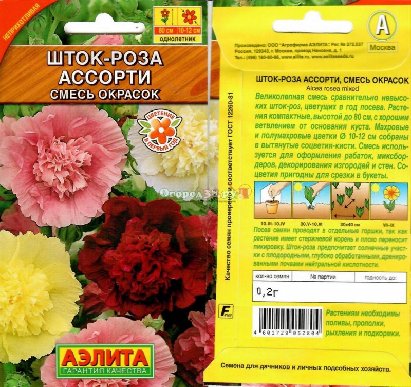Шток роза ассорти Аэлита