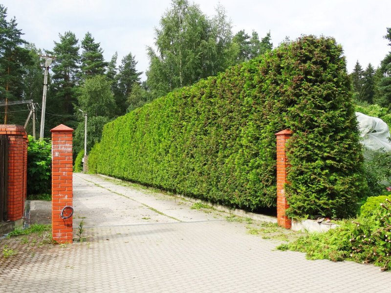 Версаль парк боскеты
