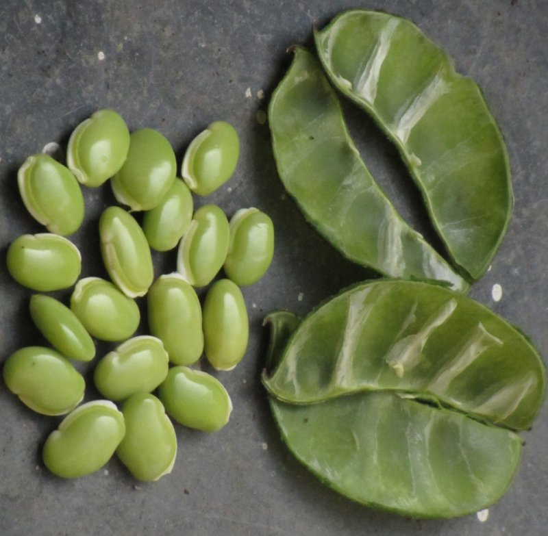Грузинская кухня лобио