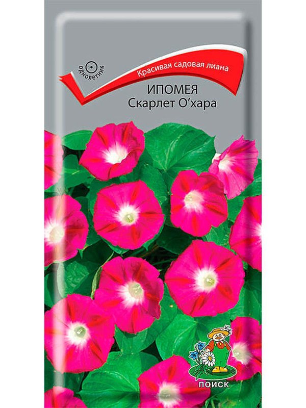 Ипомея пальчатая