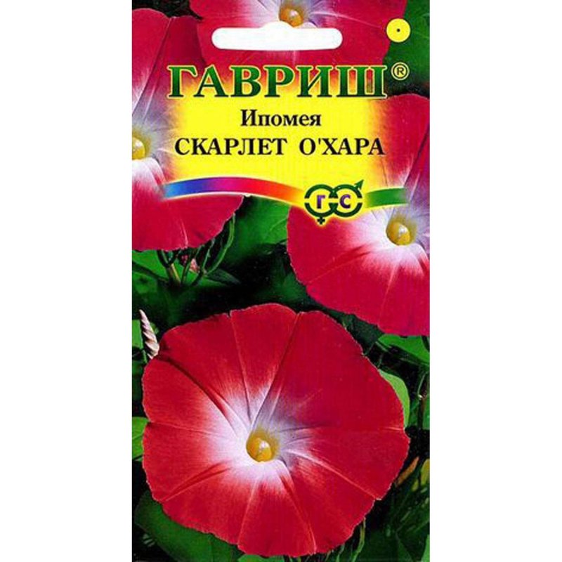 Ипомея трехцветная