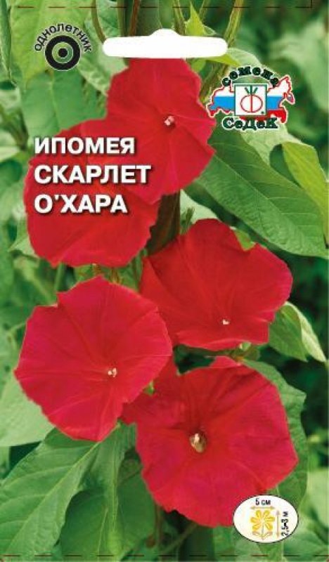 Семена ипомея Скарлет о Хара