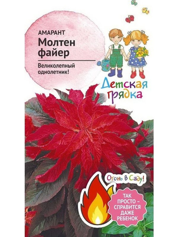 Амарант двухцветный биколор