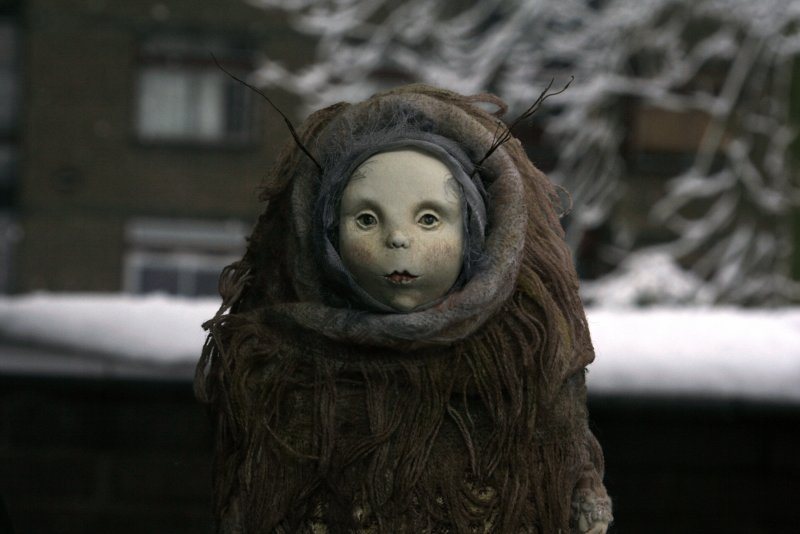 Silene Alba цветок